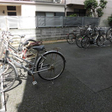  その他の写真