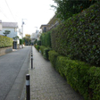  その他の写真 