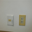  その他の写真