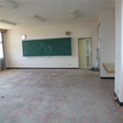  その他の写真