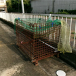  その他の写真