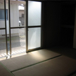  その他の写真