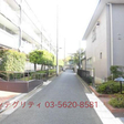 マンション前面道路 