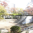 マンション敷地内　中庭の様子 