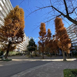  その他の写真 