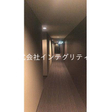  その他の写真 