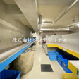  その他の写真