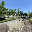  その他の写真