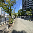  その他の写真