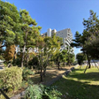 マンションに隣接した金森公園 