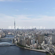 外観図