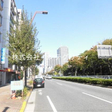 マンション前面道路　目の前は木場公園 