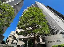 ≪朝日ツイン目黒B棟≫　お引渡しが完了致しました。