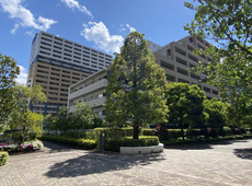 ≪グランアルト豊洲≫　お引渡しが完了致しました。