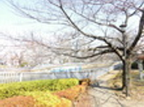 【ご成約済み】