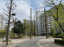 【　成約御礼　】　ファミリータウン東陽J棟