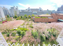 【　成約御礼　】　東陽サニーハイツ