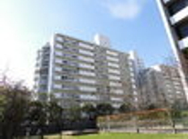 【ご成約となりました】