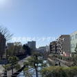  その他の写真  