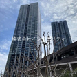 施行会社：鹿島建設株式会社 
