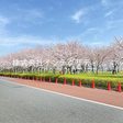 耐震基準適合物件 