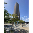  その他の写真