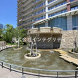  その他の写真