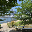 四季折々の花を咲かせる植栽計画 