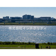  その他の写真