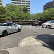  その他の写真