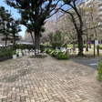  その他の写真