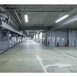  その他の写真