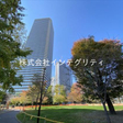  その他の写真