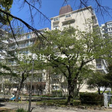新耐震基準マンション 