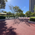  その他の写真