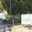 目の前の木場公園 
