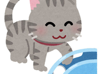 猫の夏の過ごし方