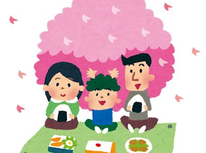 お花見計画失敗