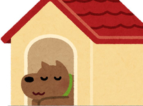 新しい家族を迎えてから