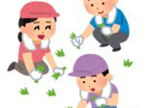 虫に大フィーバー