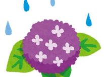 梅雨は年に何回？