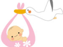 にぎやかだったお正月