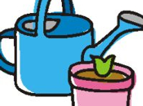 野菜とお花とテレビ