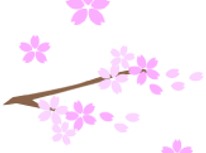 勿来発電所の河津桜