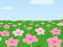 季節の花々を見に