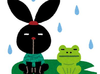 モリアオガエル