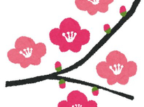 花粉症です(T_T)