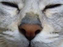 可愛いハリケーン娘