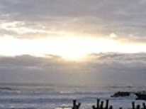 ☆★☆2011年も宜しくお願い申し上げます☆★☆ 