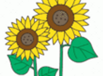 夏の終わりはさみしい…